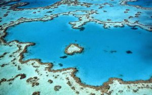 Australia climate Change Sustainability / Greentech / Foto: Yanguang Ian via Unsplash-Kopie.jpe