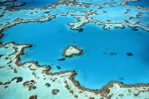Australia climate Change Sustainability / Greentech / Foto: Yanguang Ian via Unsplash-Kopie.jpe