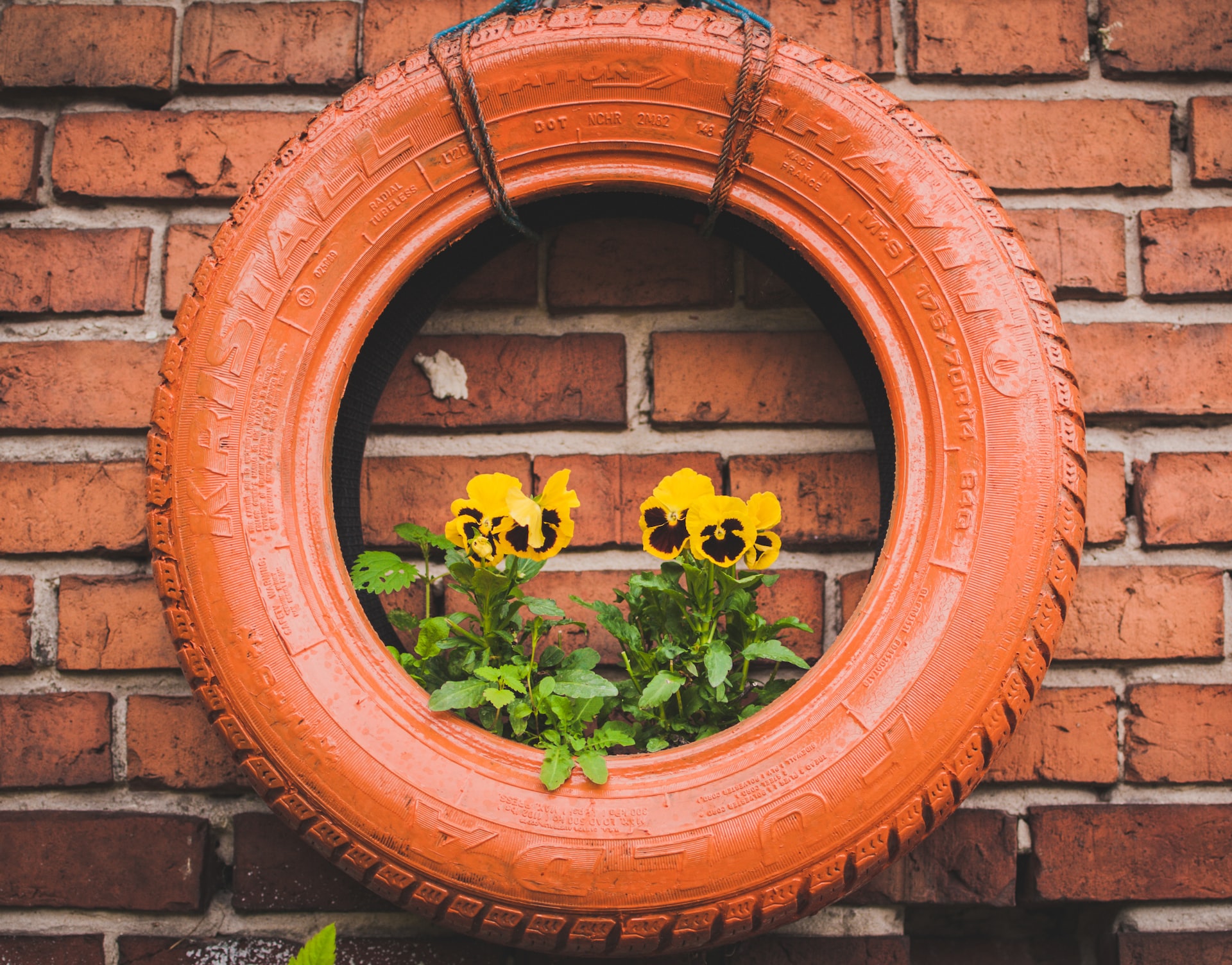 Upcycling Tire Foto: Jakub Jacobsky via Usplash