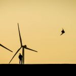 Die Nordsee soll u.a. mit Windkraft zum Powerhouse der Energiewende werden. Foto- Niclas Dehmel via Unsplash