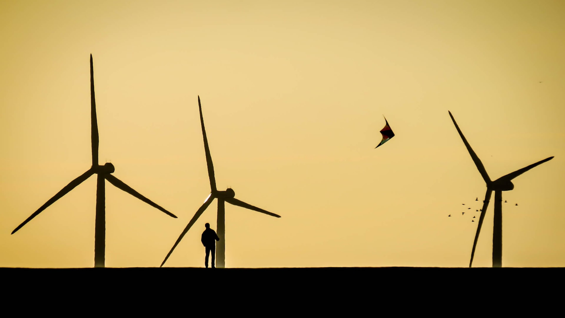 The North Sea is to become the "powerhouse" of the energy transition with wind power, among other things. Photo: Niclas Dehmel via Unsplash
