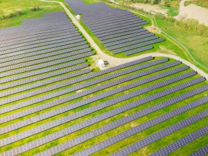 Solar plant climate protection with solar energy photo Dere Sutton via Unsplash Solar plant- protection with solar energy photo Derek Sutton via Unsplas